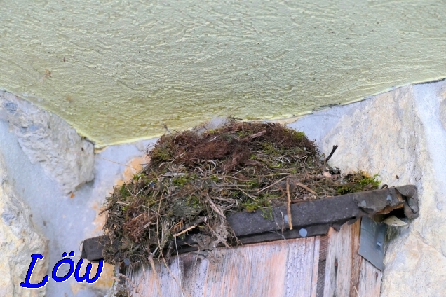 17.4.2022 - Osternest?